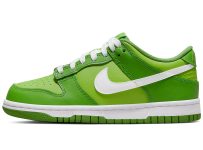 Official Look of Nike Dunk Low Kermit DJ6188-301