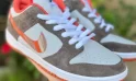 The Gorgeous Crushed D.C. x Nike SB Dunk Low DH7782-001